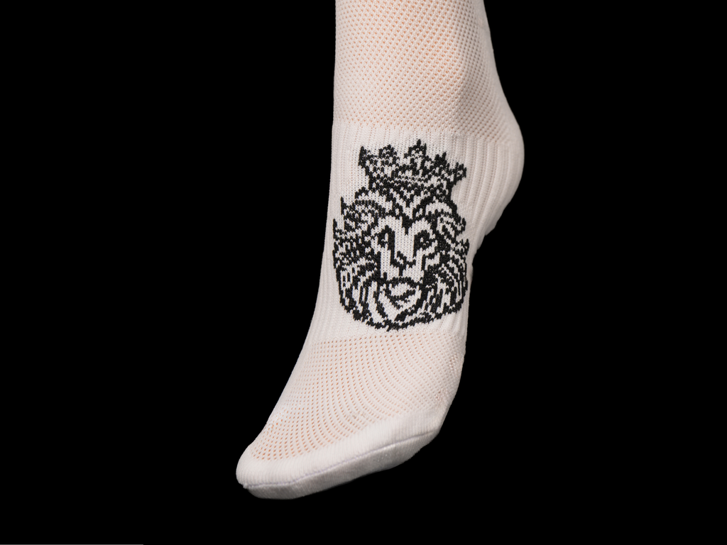 Lions Sticky Socks