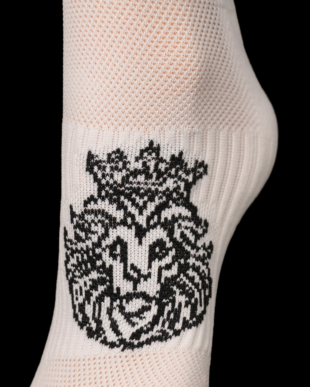Lions Sticky Socks
