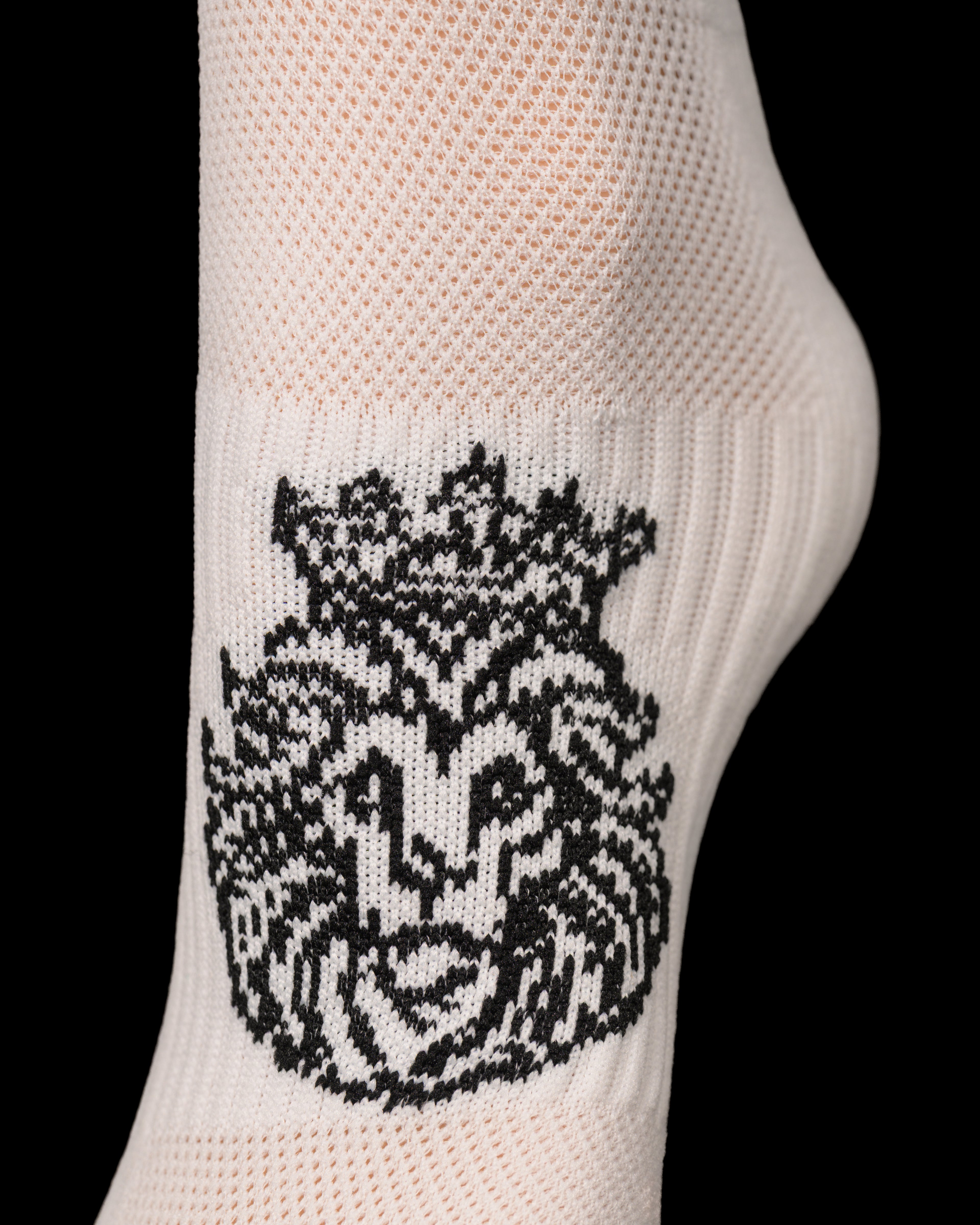 Lions Sticky Socks